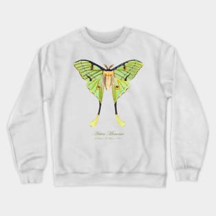 Moth - African Moon Moth, Actias Mimosae or Argema Mimosae Crewneck Sweatshirt